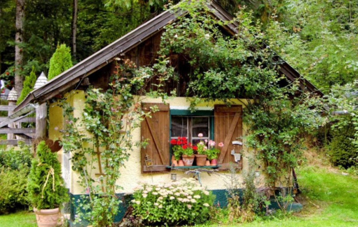 Фото: pxhere.com