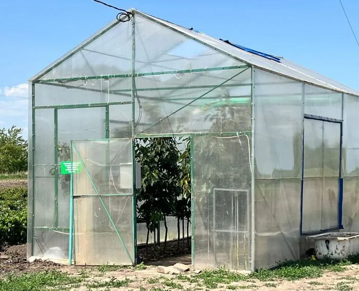 Сейчас уменьшенная копия будущей большой теплицы работает в тестовом режиме // Фото:«Агрофирма Донецкая долина» 