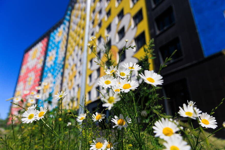     Фото с сайта ЖК