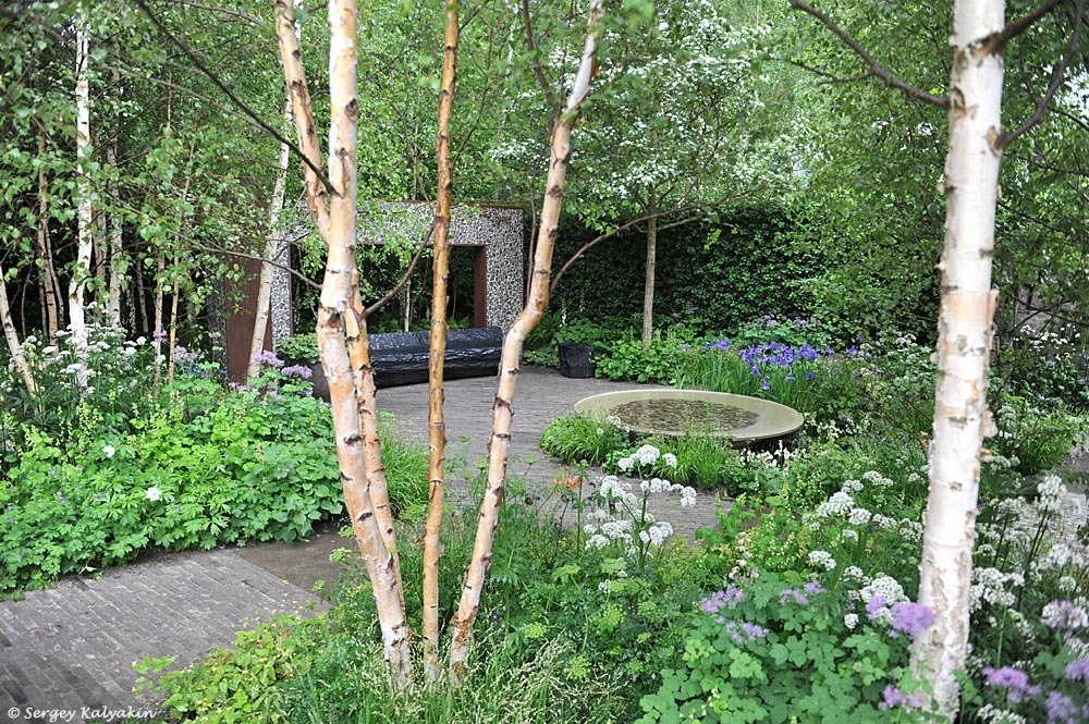 Сад - победитель Челси 2024, фото с канала Сергея Калякина "Сады и цветы" https://dzen.ru/skalyakin