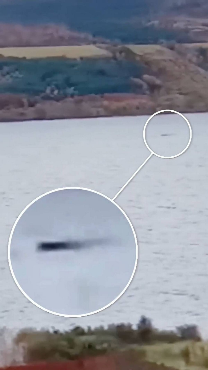 Эойн восторженно сказал, что «можно наглядно увидеть, как поднимаются две части этого существа» (Фото: Кредит: Visit Inverness Loch Ness via Pen News)