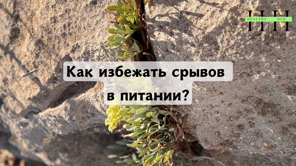 Как избежать срывов в питании советы нутрициолога Анны Колесник