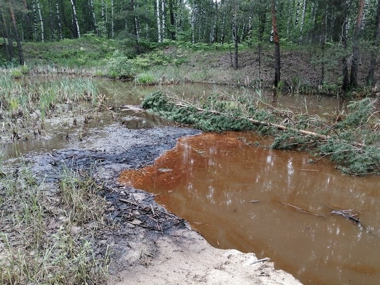    Фото: пресс-служба администрации Нижнего Новгорода