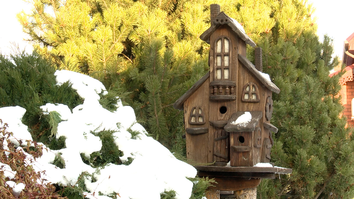 Синичник во дворе тюменца