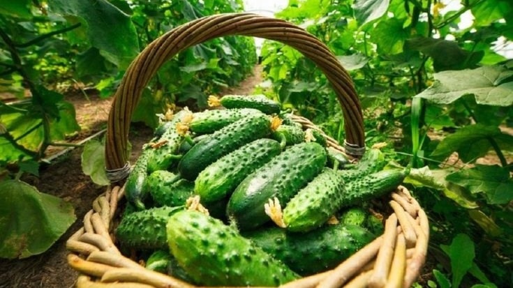 Фото с pinterest.com