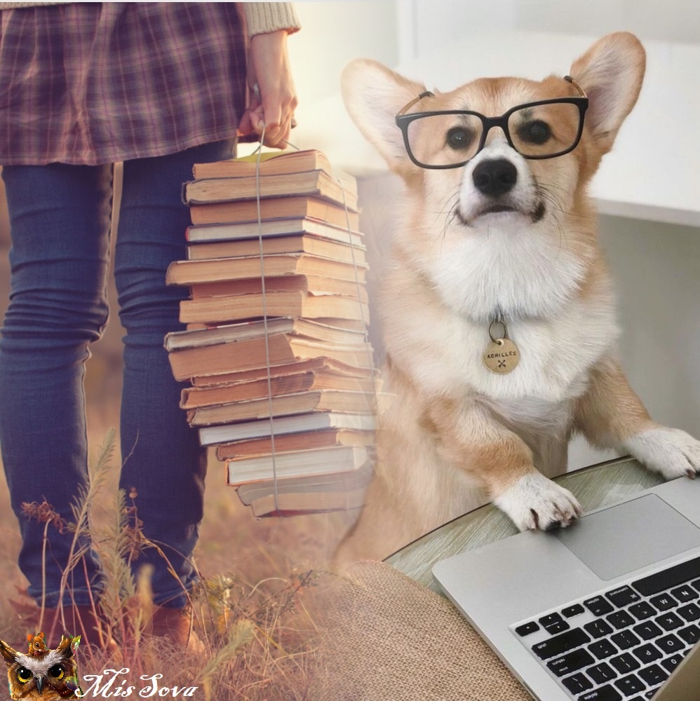 В мире так много писателей. Интересно, хватит ли на них читателей? Коллаж автора