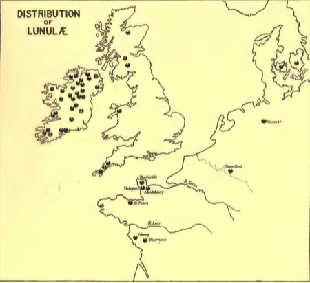 Места, где были найдены лунулы (Coffe, The Bronze age in Ireland, 1918)