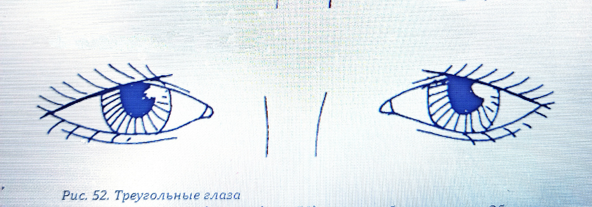 Фотоколлаж автора статьи 