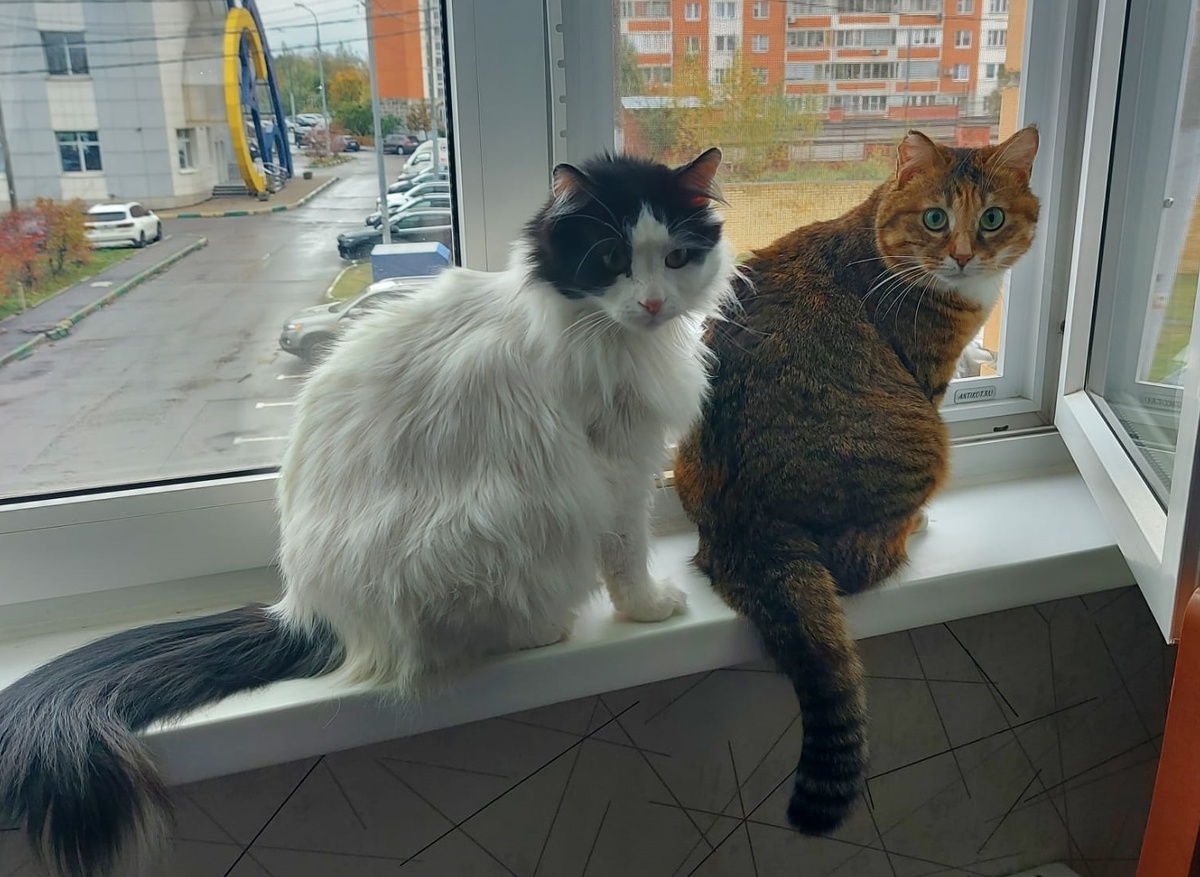 Всем - привет! 