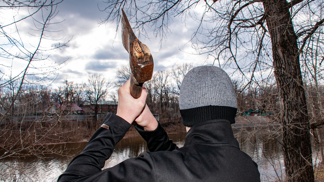   Фото: Светлана Возмилова/Globallookpress.