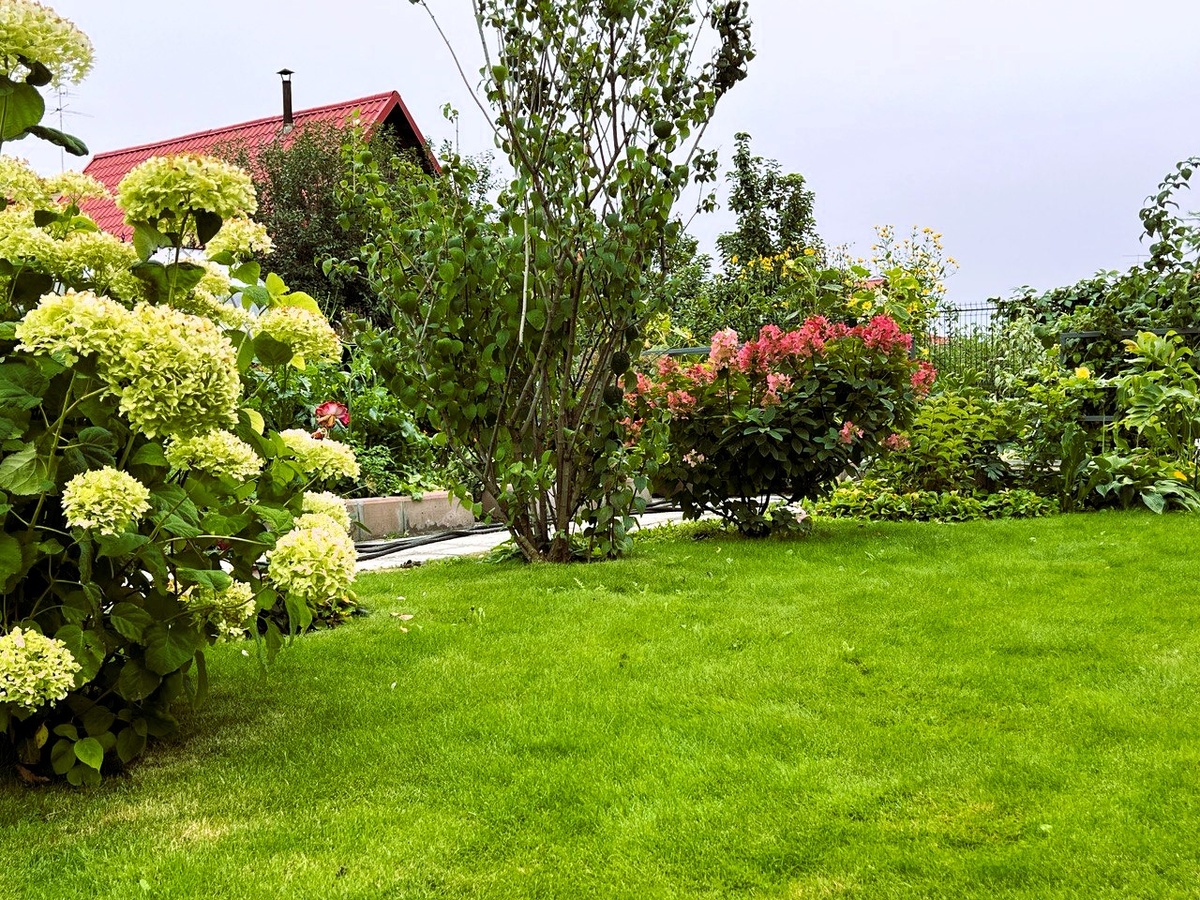 Фото из личного архива