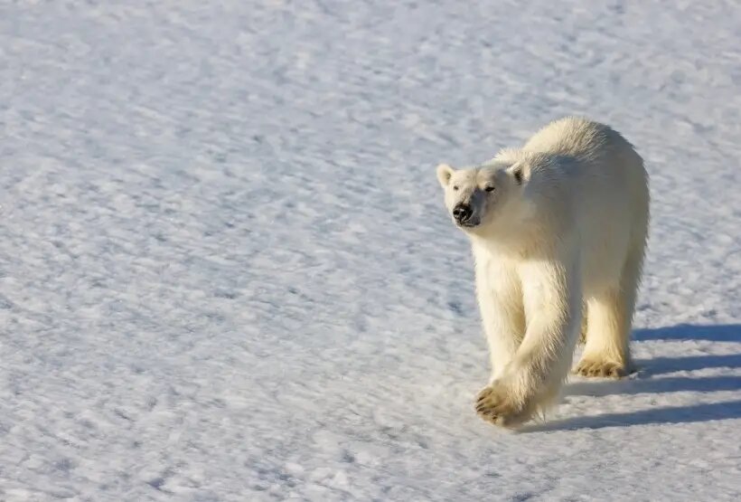     © РИА Новости. Илья Тимин