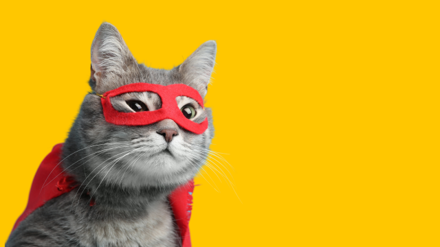 Чувствительность как суперсила: почему «хрупкие» сотрудники эффективнее других?