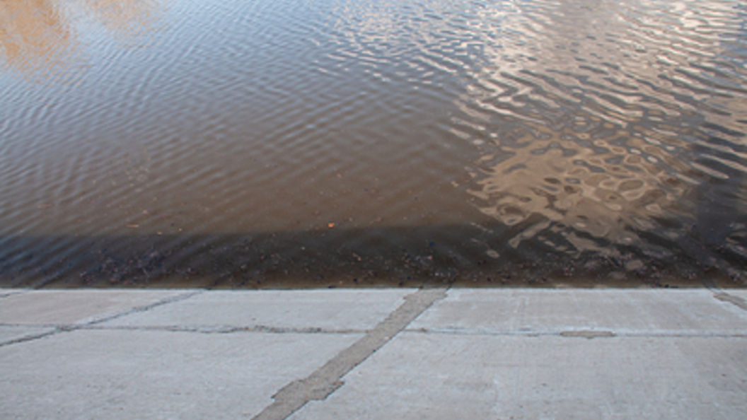    Фото: Svetlana Vozmilova/Globallookpress