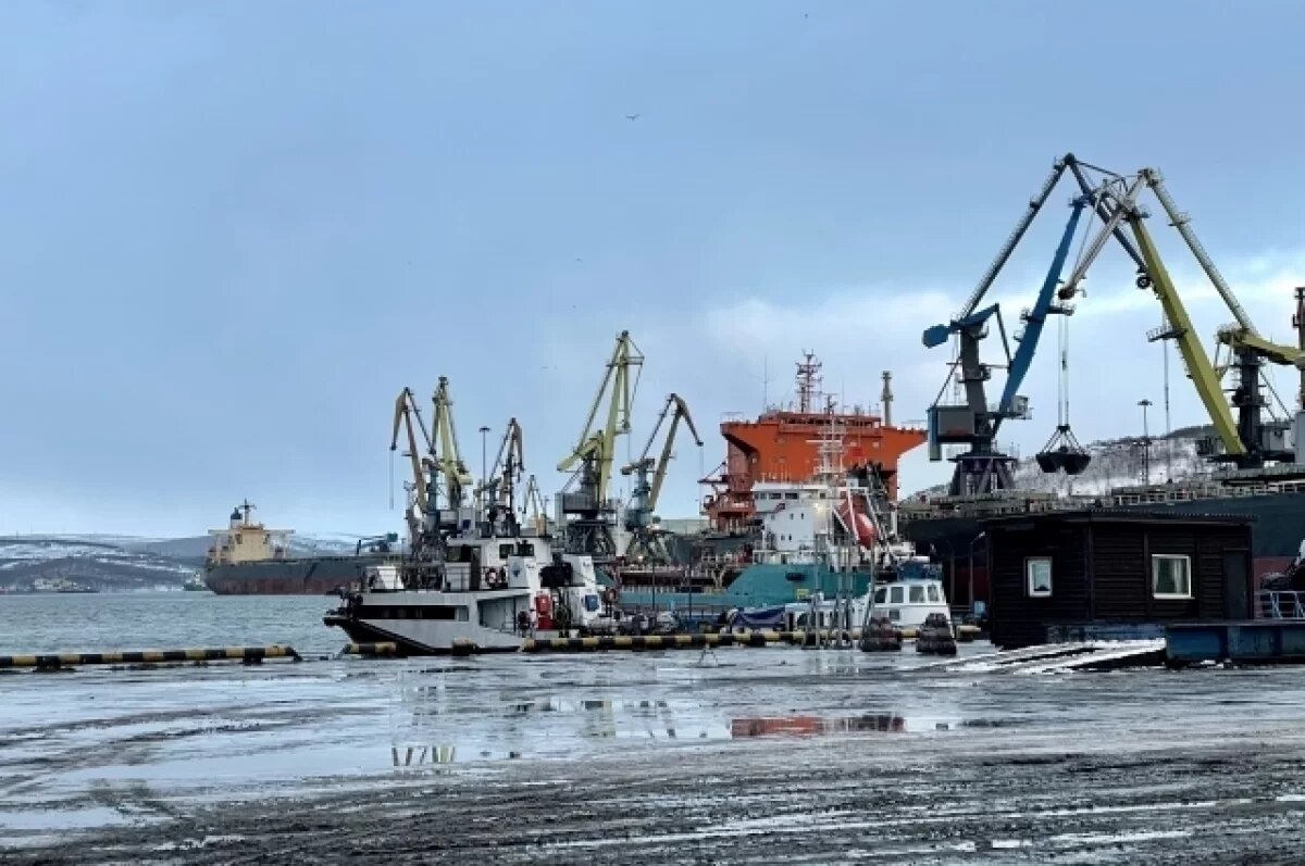    Грузы из Мурманска в основном идут в Китай, Турцию, много угля отправляют в Индию, удобрения следуют в Бразилию.