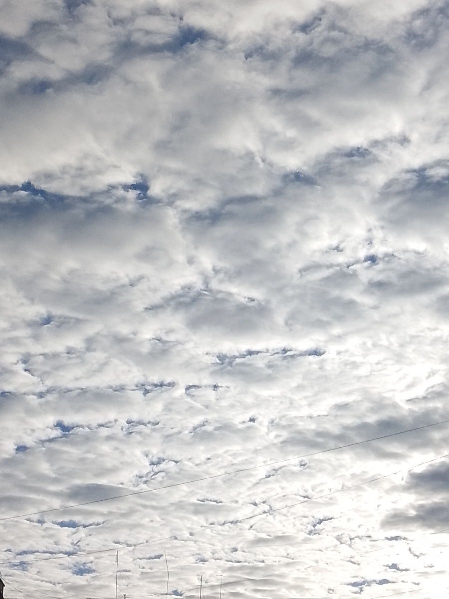 Источник: личное фото "вот такое у нас сегодня небо было"