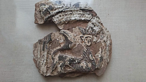    Московские археологи нашли 400-летние изразцы с кошками в коронах Андрей Бурков