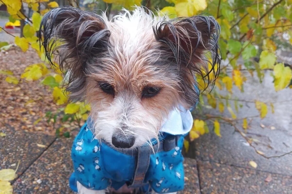    Уйди, хандра осенняя!