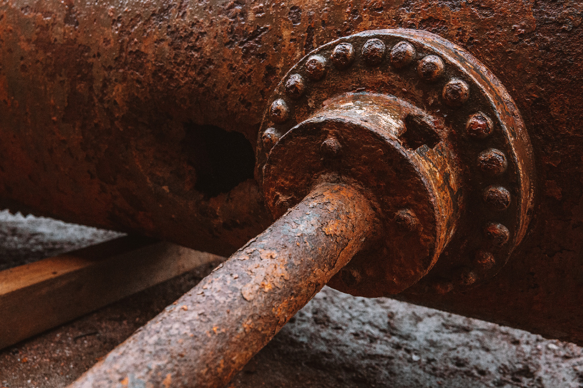 Фото: ГМЗ «Царское Село», Екатерина Новак