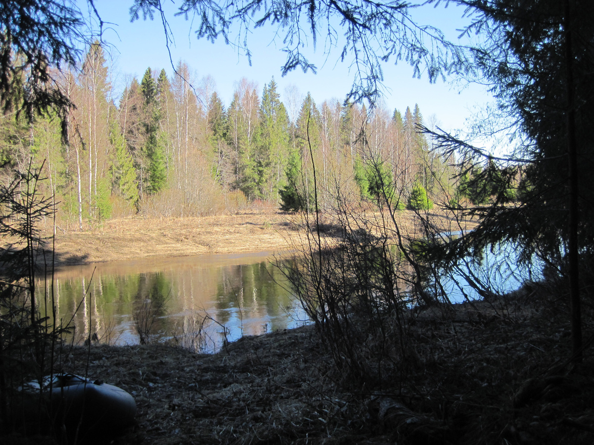 река Сямжена утром