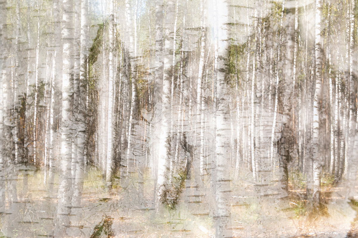 фото: Алексей Королев