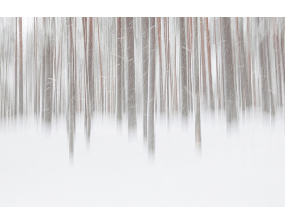 Фото: Алексей Королев