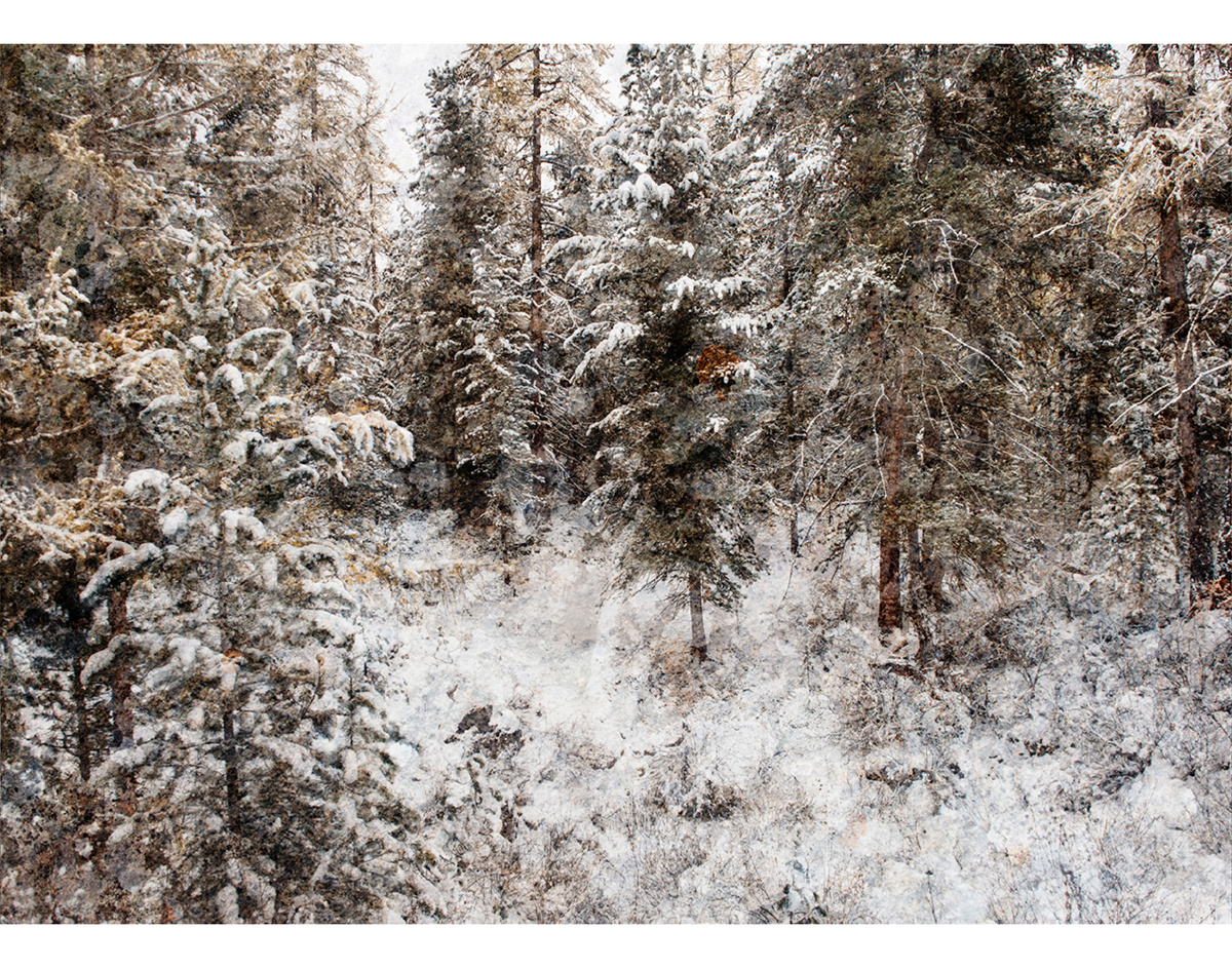 фото: Елена Малышева