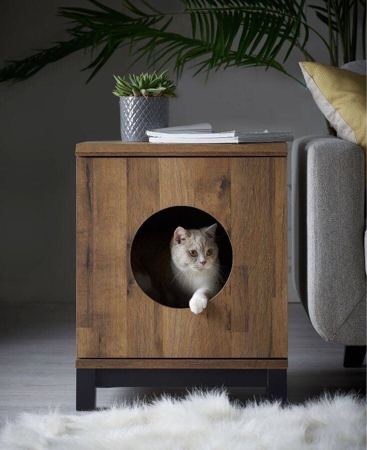 Деревянную мебель любят все – даже наши домашние питомцы 🐾