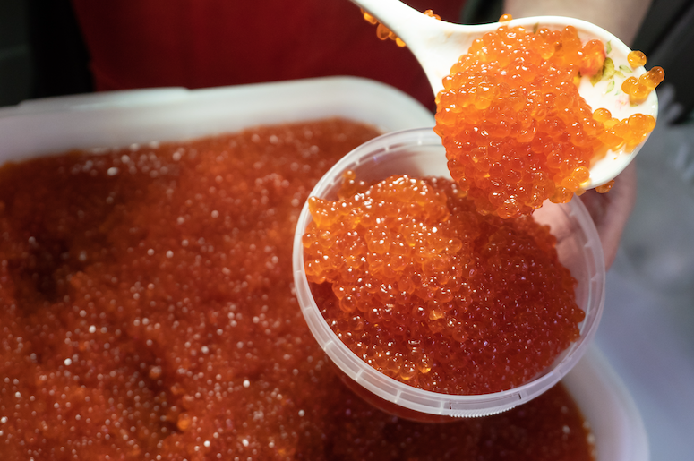 Фото: Сергей Красноухов/ТАСС