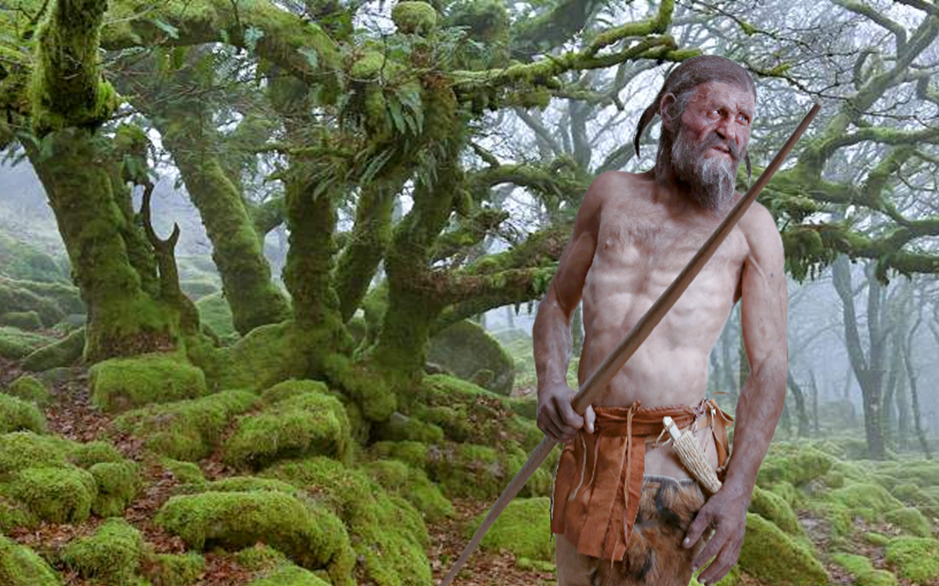 Реконструкция облика Этци.