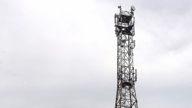      Фото: пресс-служба МТС в Ставропольском крае