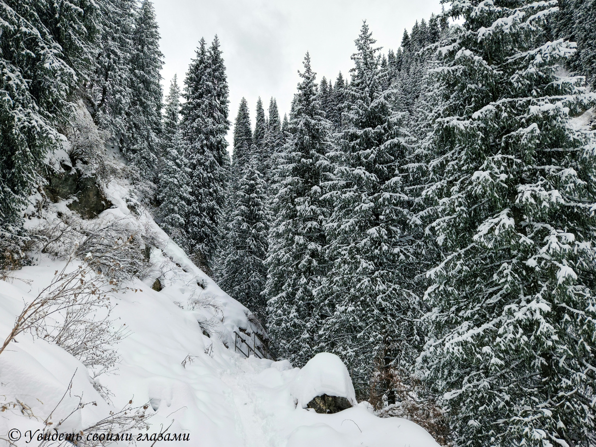 Тропинка в ущелье Алма-Арасан, как в зимней сказке