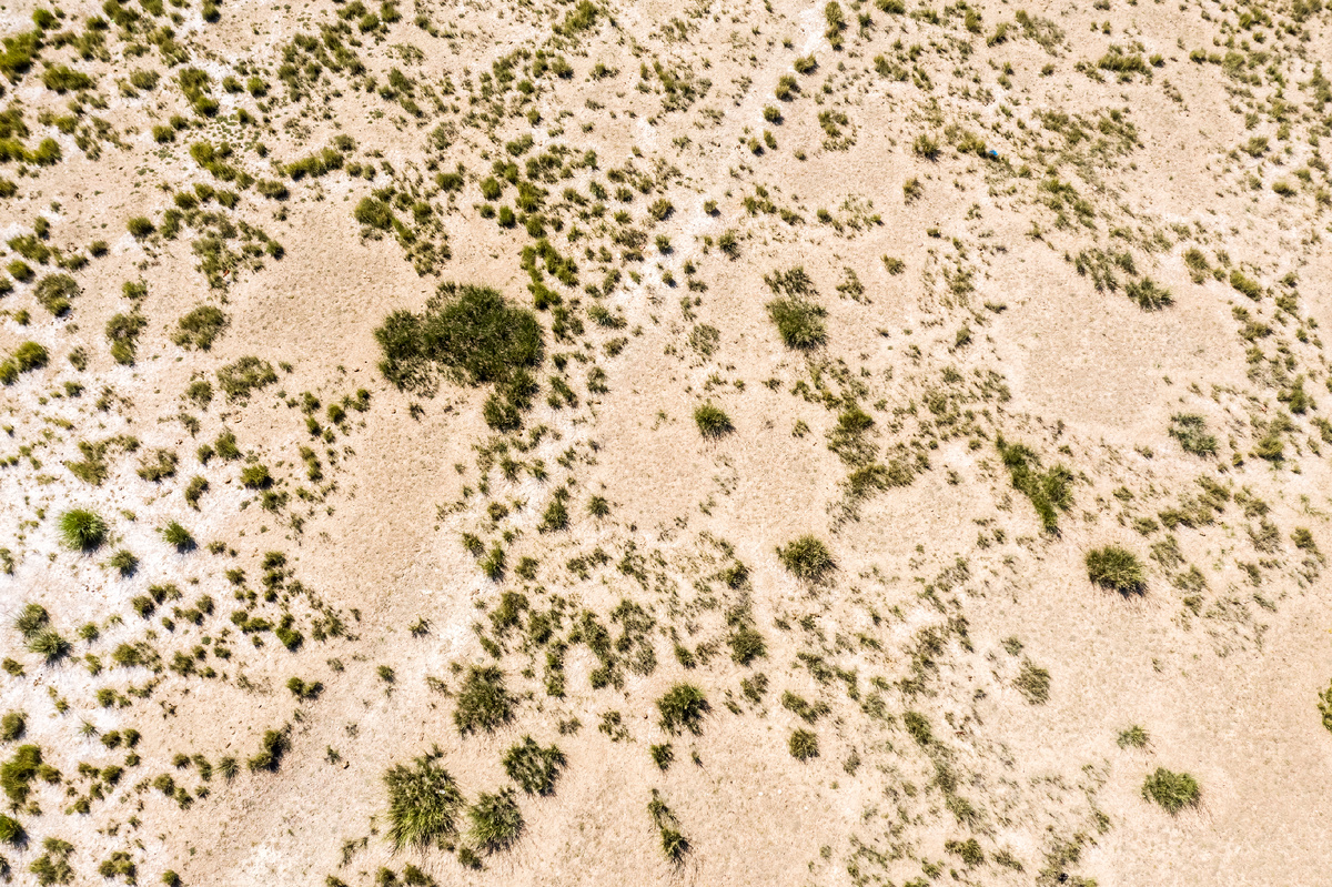 Чуйская степь. Фото с коптера. Кош-Агачский район горного Алтая. 2024