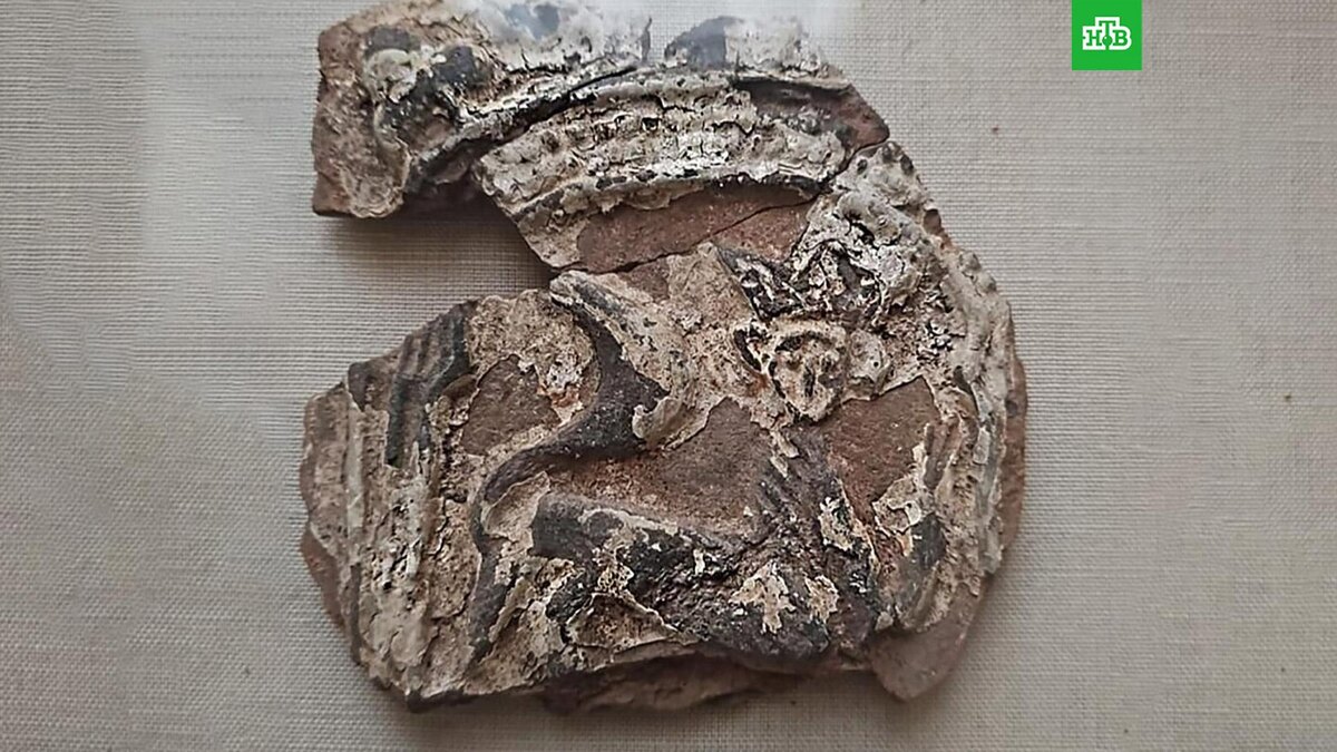    Фото: Пресс-служба Департамента культурного наследия города Москвы