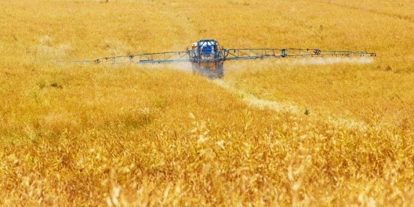    Фото PublicDomainPictures, pixabay.com