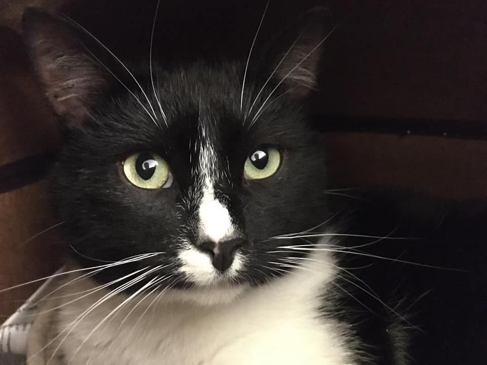 Один бзик? Да лааааадно!!