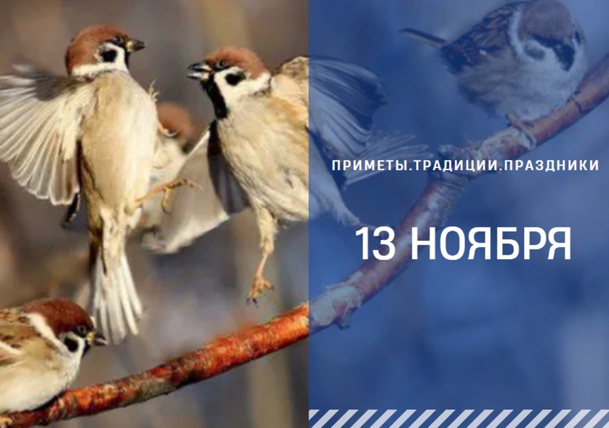   ГТРК "Ставрополье"