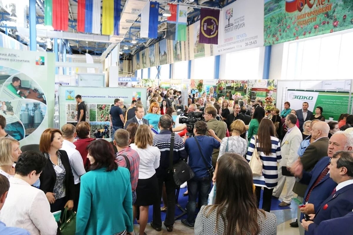    Белгородцев приглашают на выставку, посвящённую медицине