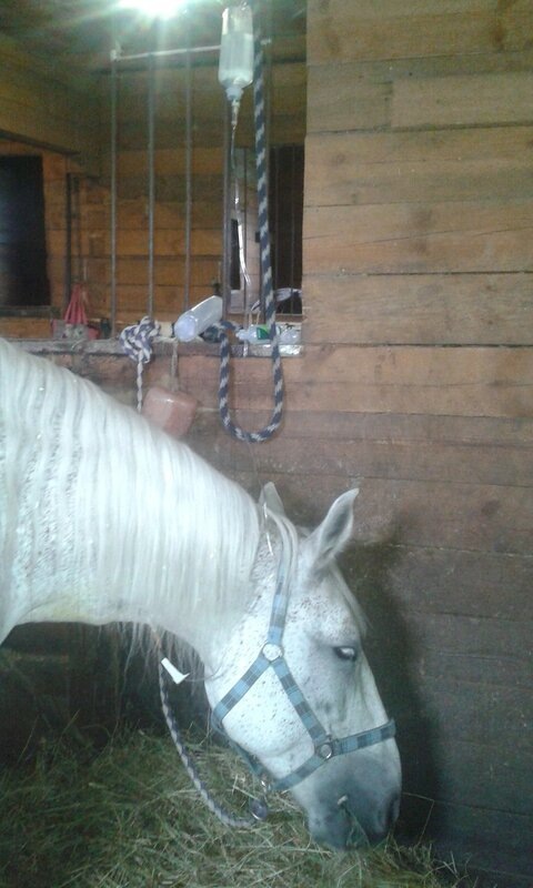 на капельнице