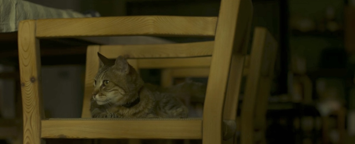 Кадр из фильма “Апокалипсис Z: Начало конца”