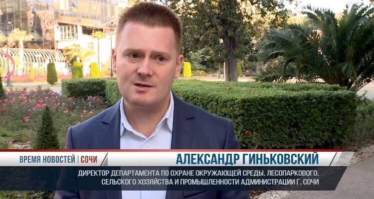    Фото: Сочи24