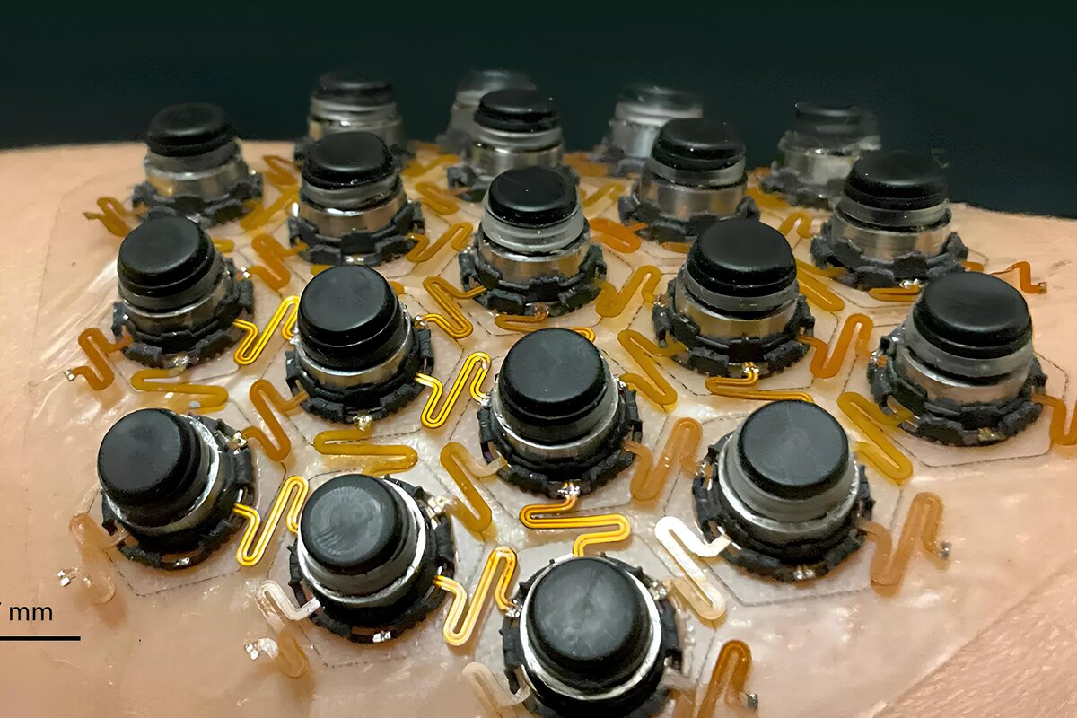 Фото: Northwestern University