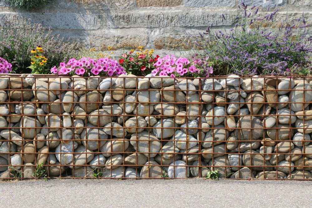 Источник: https://stock.adobe.com/ru/