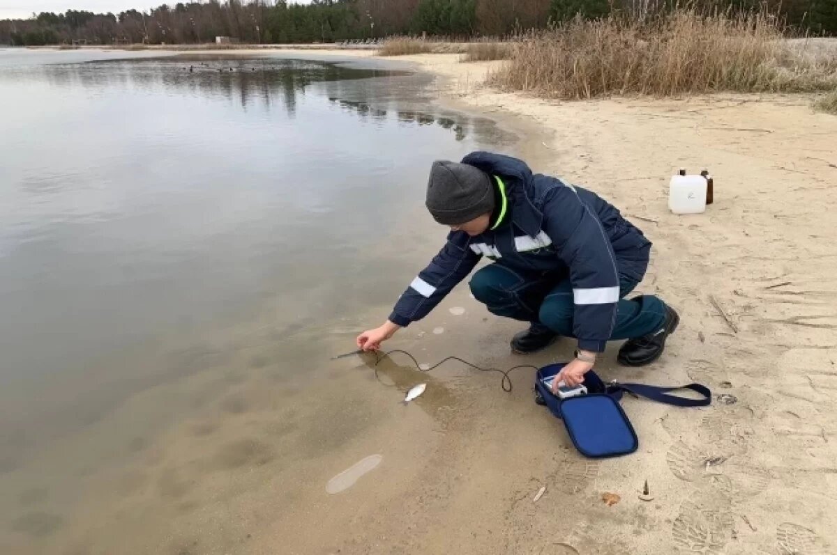    А мор и ныне там.