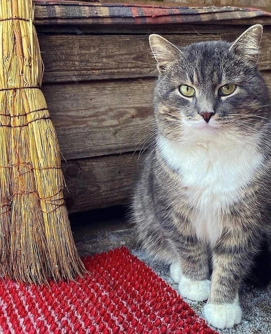 иллюстрация из яндекс картинки.