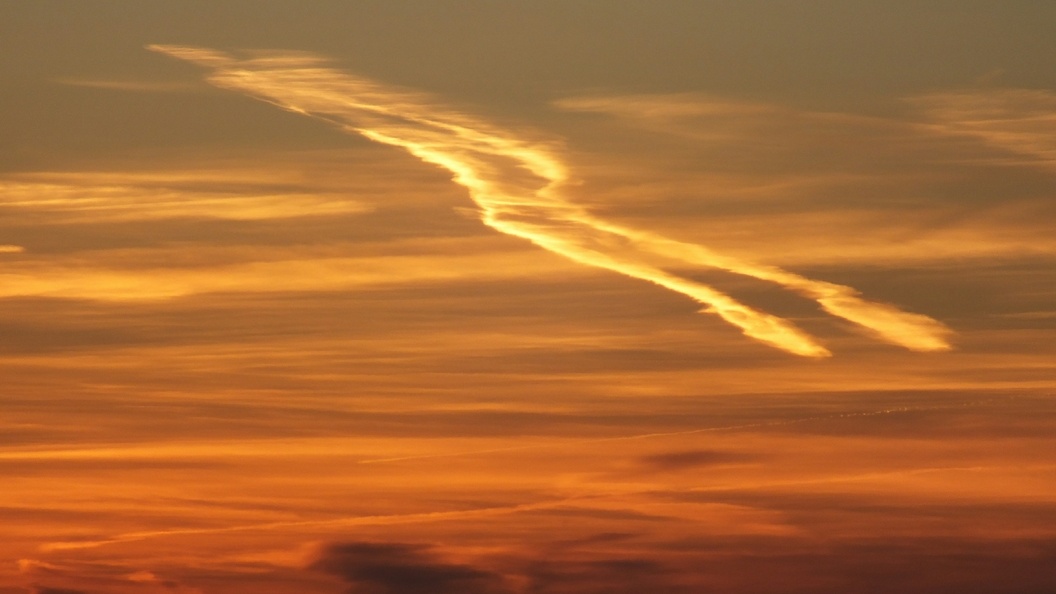    Виктор Лисицын/Globallookpress