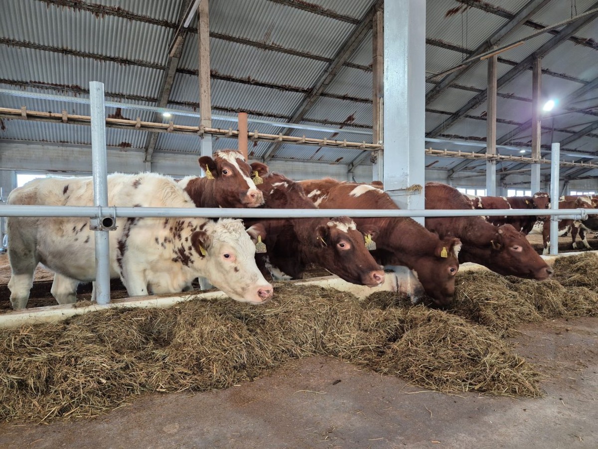    Министерство сельского и рыбного хозяйства РК