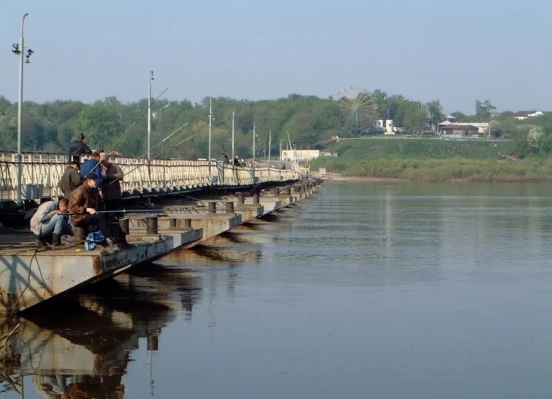 Яндекс источник.