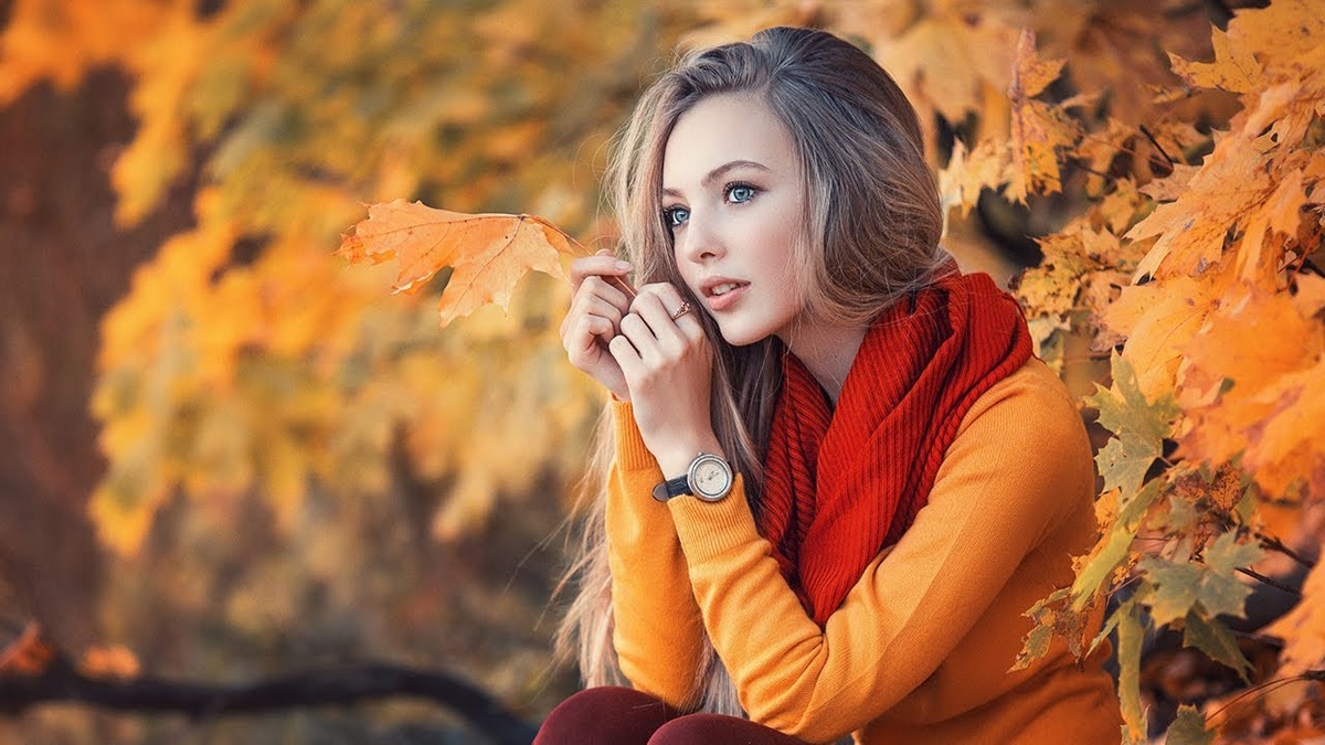 Яндекс картинка