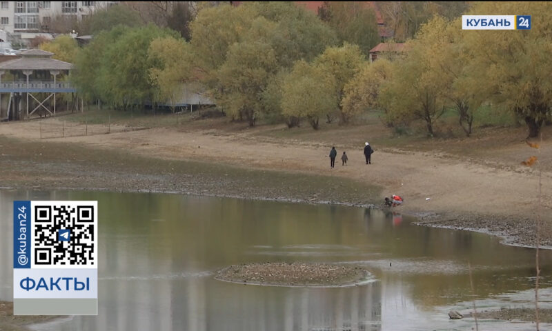    Видео канала «Кубань 24»